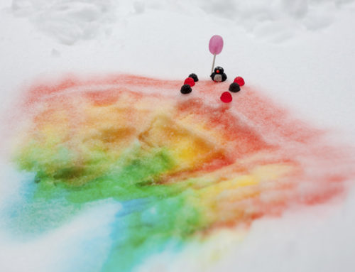 Acompañamiento familiar