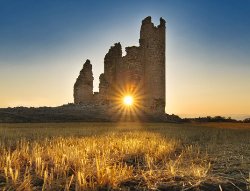 Campamento urbano de Verano (de 4 a 12 años) ¡Apúntate ya!