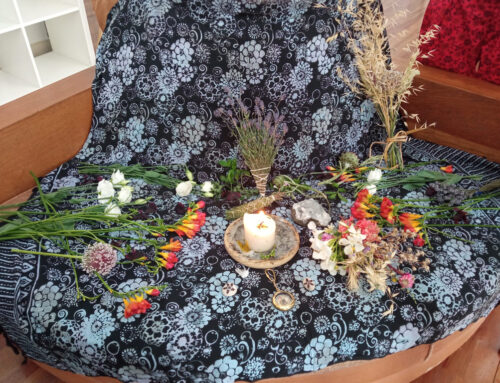 Fin de ciclo! El solsticio de verano nos anuncia la llegada del cierre de los grupos de Káeru!