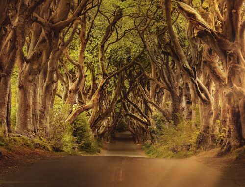 ¡APÚNTATE AL CAMPAMENTO DE SEMANA SANTA!